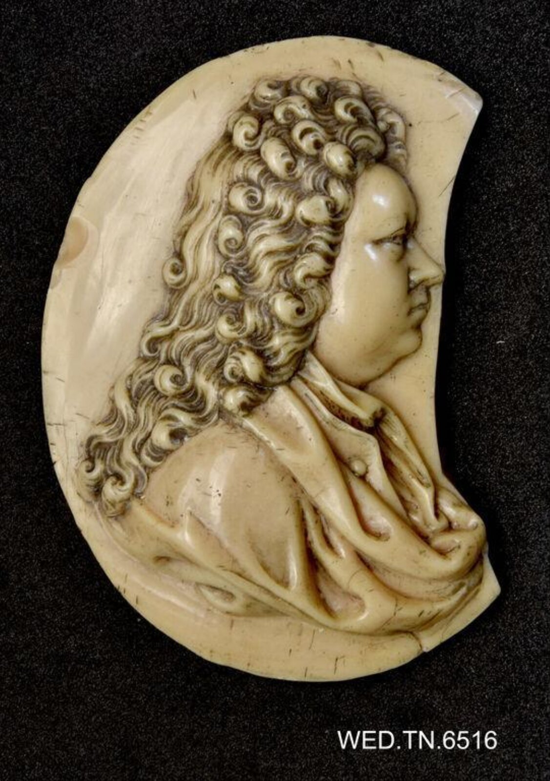 Wax model