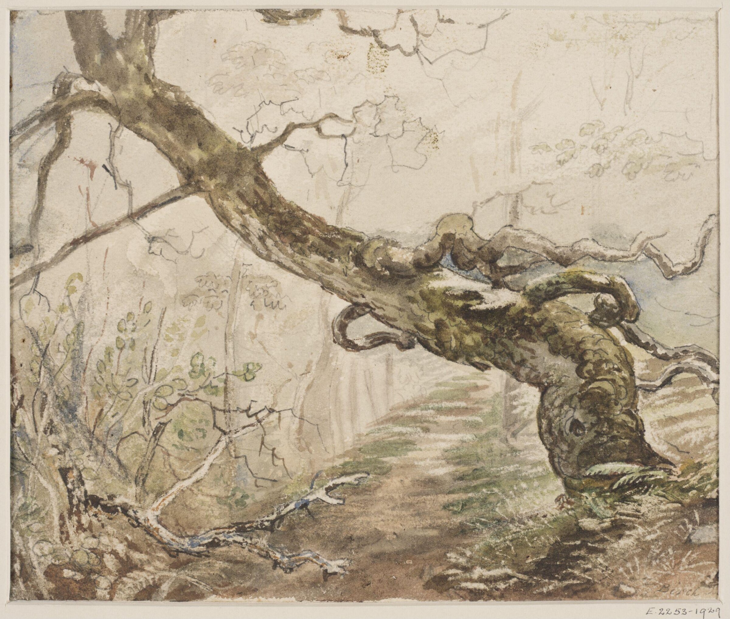 Wood above Lakefield House, Edward Duncan, ca. 1830-1882