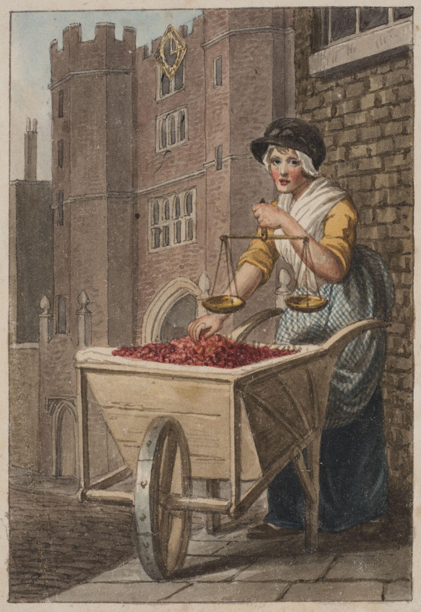 Cherries, Craig, 1804