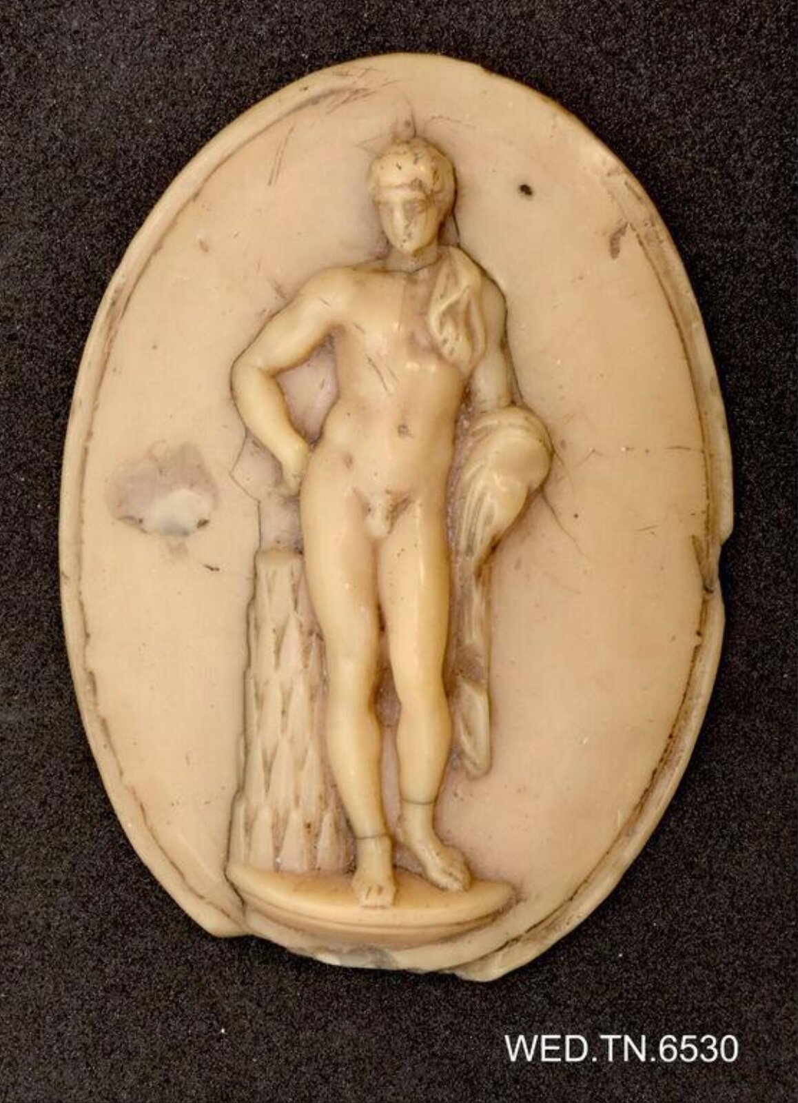 Wax model