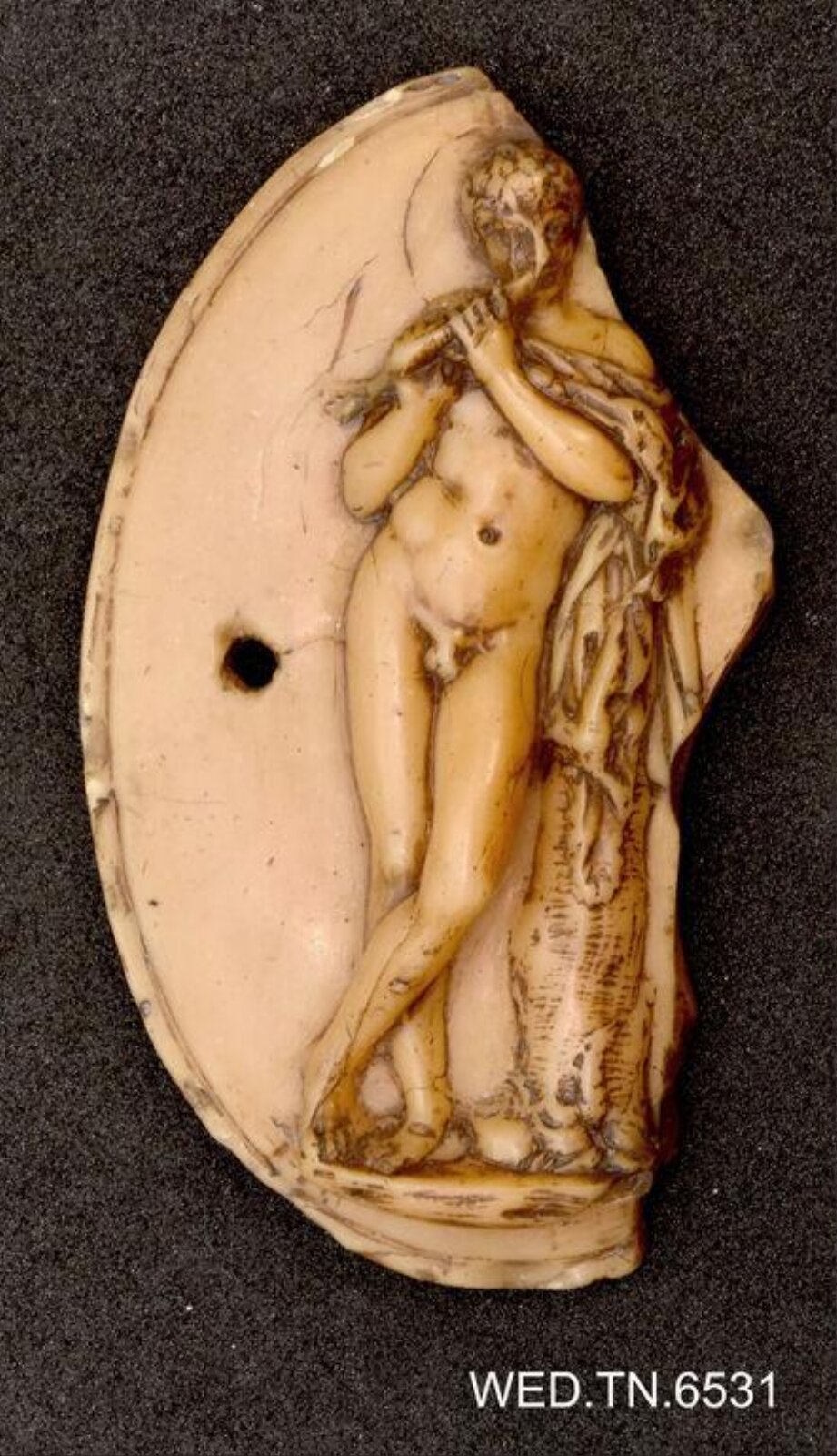 Wax model