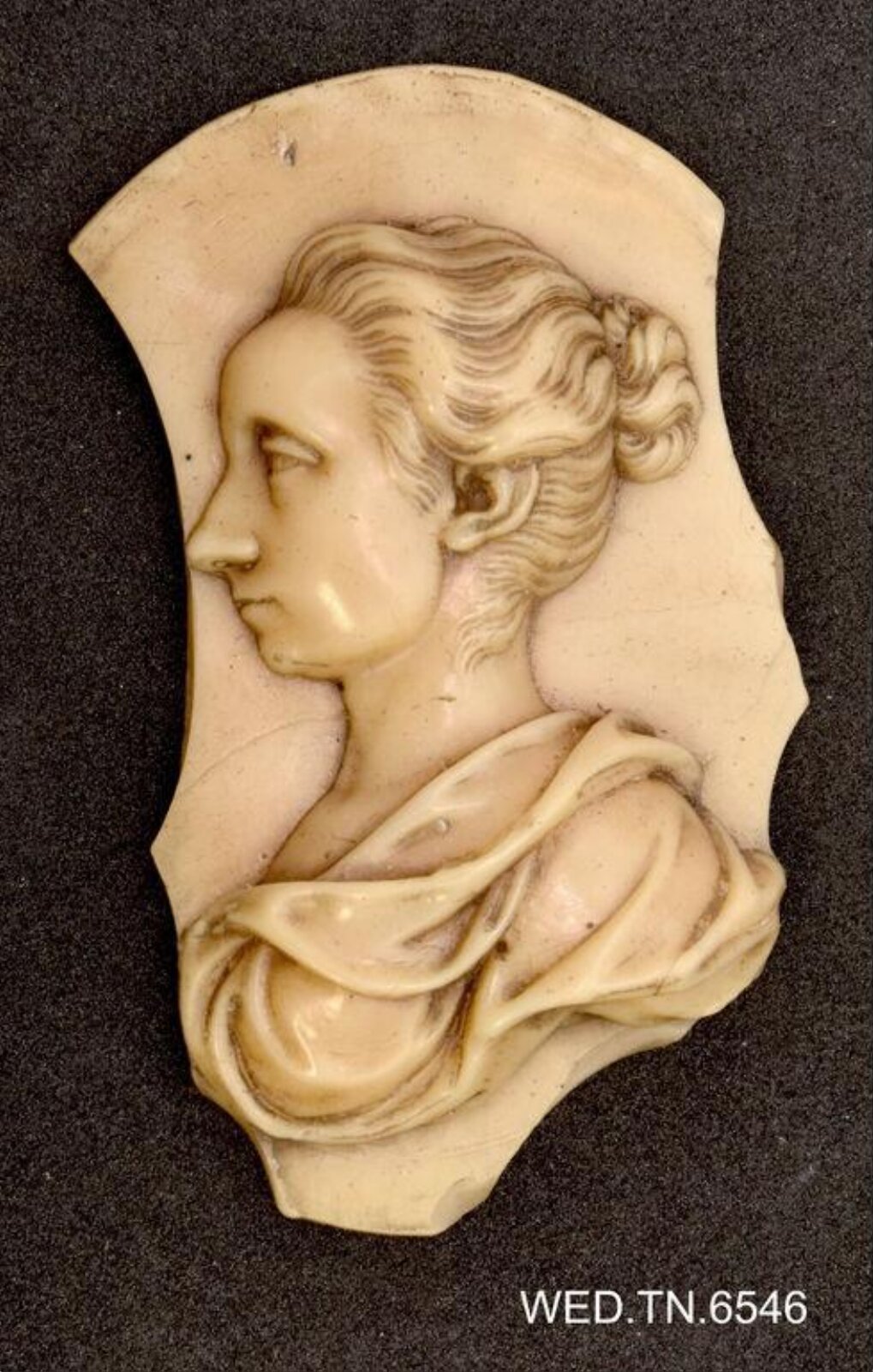 Wax model