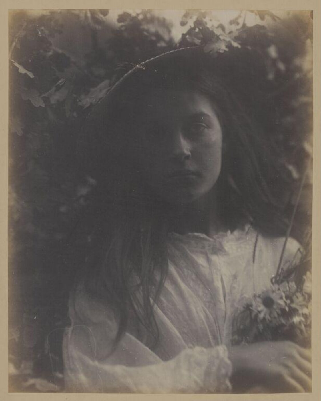 Julia Margaret Cameron, Daisies Pied