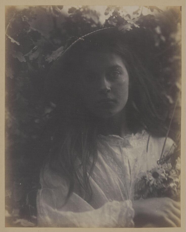 Daisies Pied Julia Margaret Cameron V&A Explore The Collections