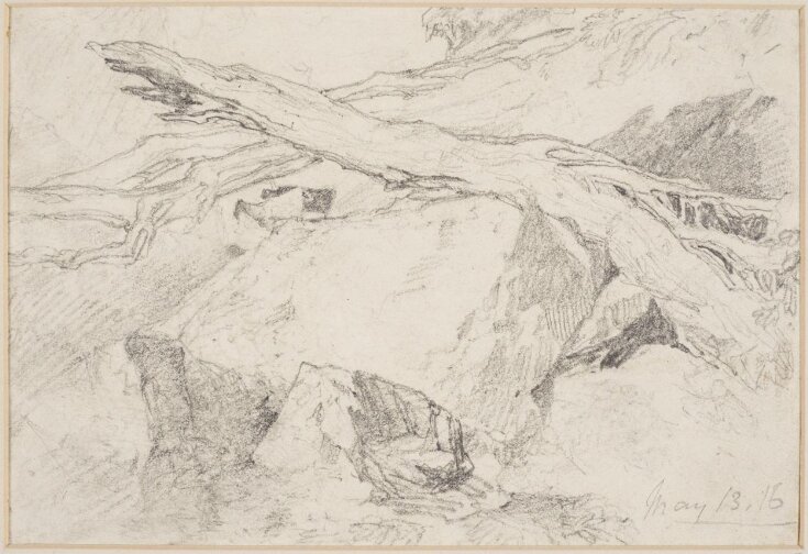 A broken tree trunk | Cotman, John Sell | V&A Explore The Collections