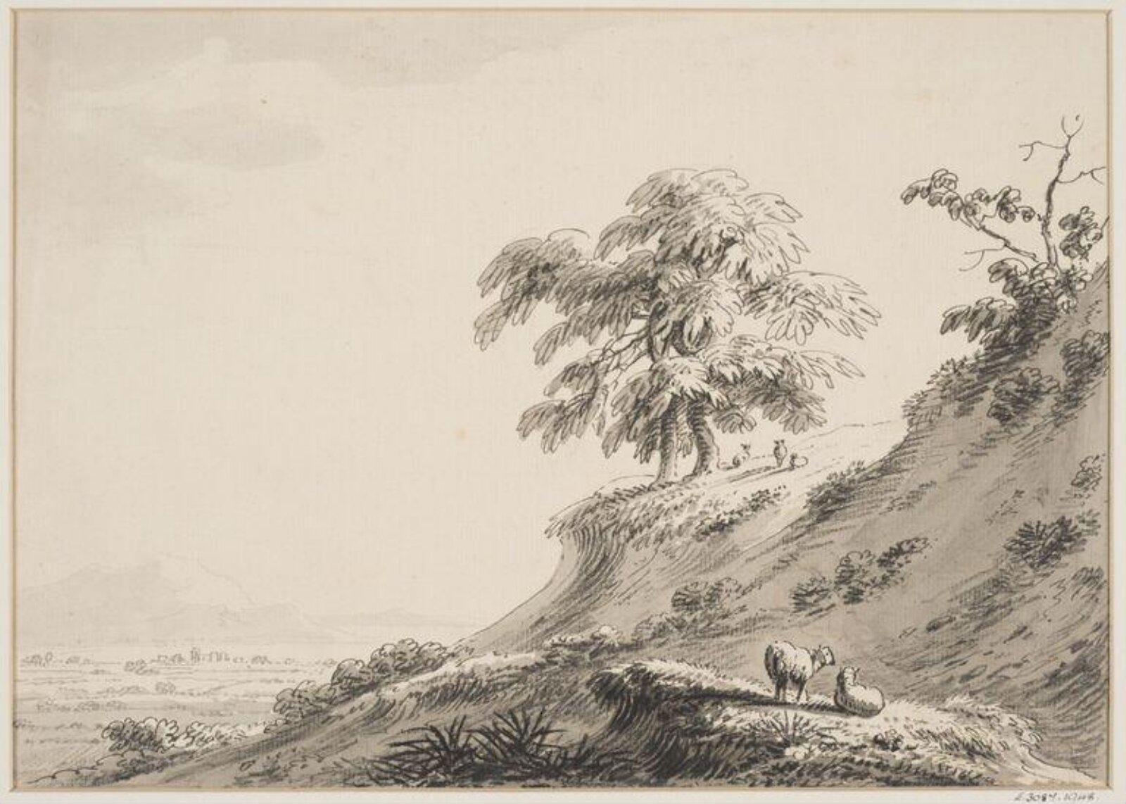 Drawing
