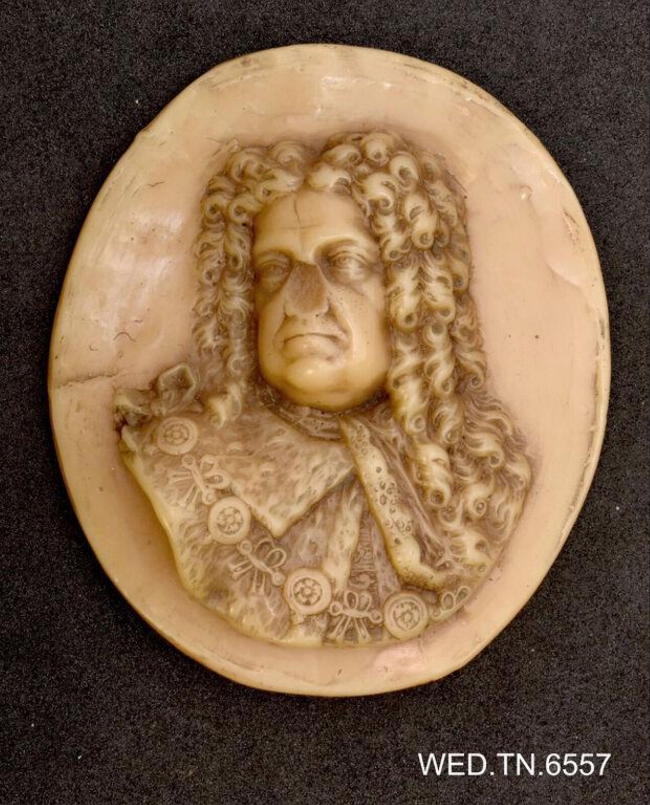 Wax model