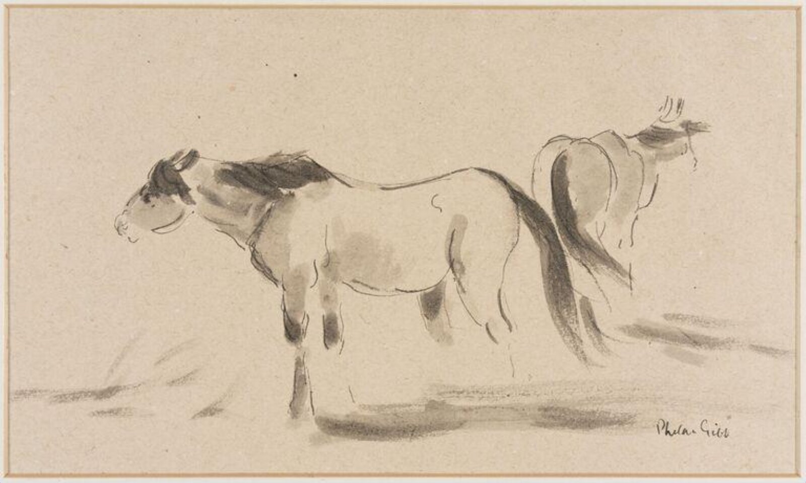 Horses, Phelan Gibb