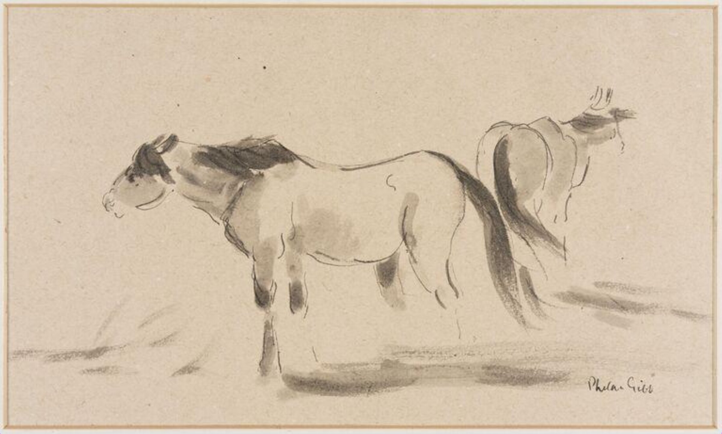 Horses, Phelan Gibb