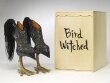 Bird-witched  thumbnail 2