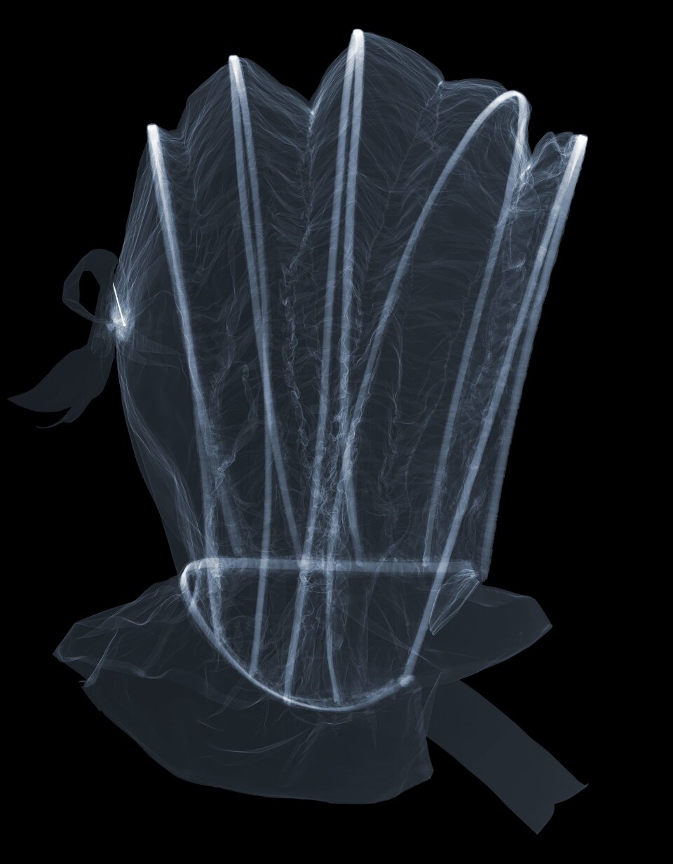 X-ray of calash. Photography by Nick Veasey, 2017