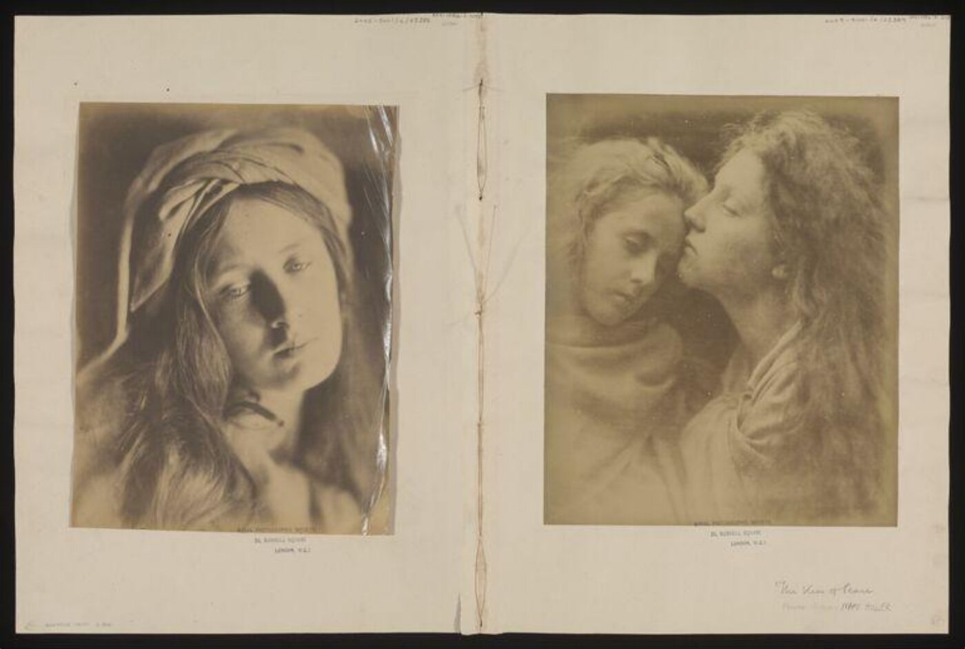 Cameron, Julia Margaret, Beatrice