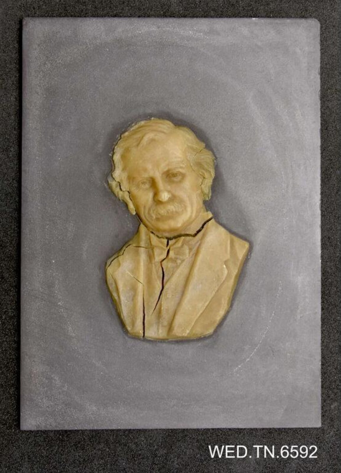 Wax model