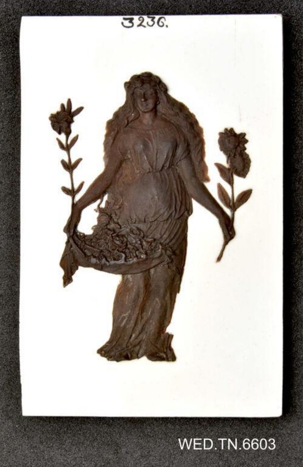 Wax model