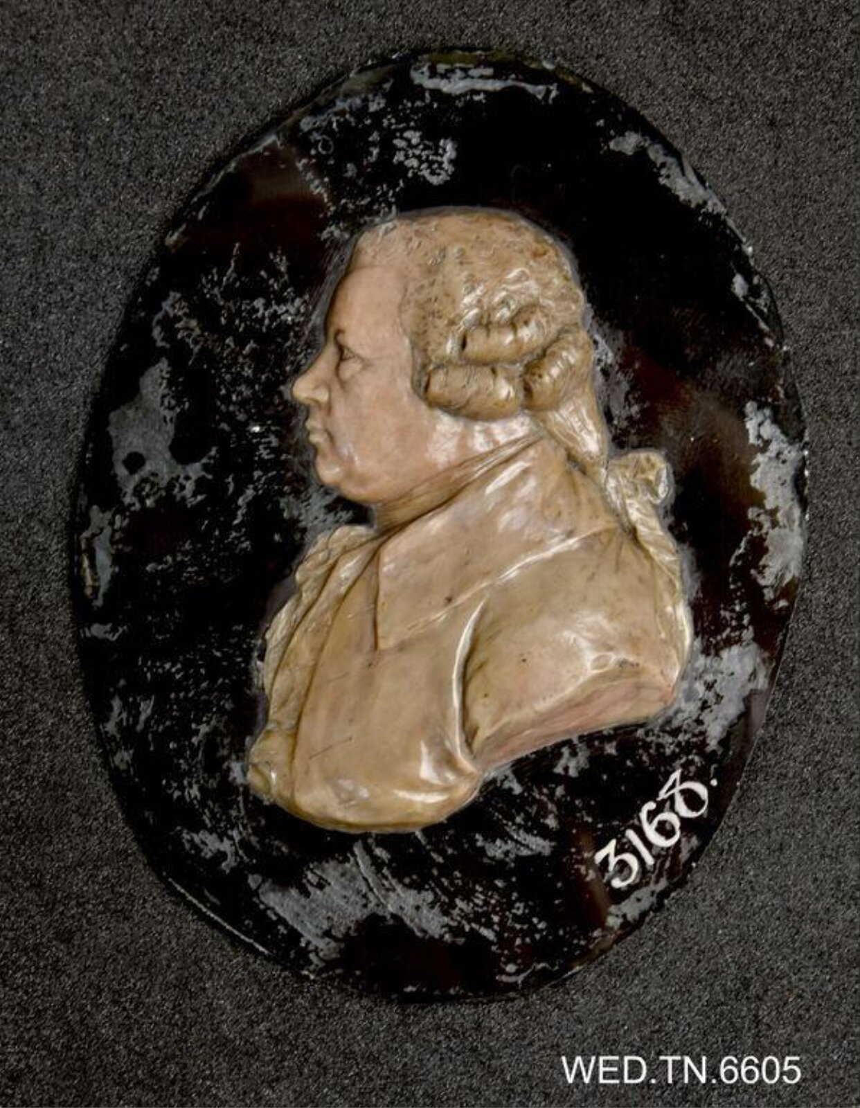 Wax model
