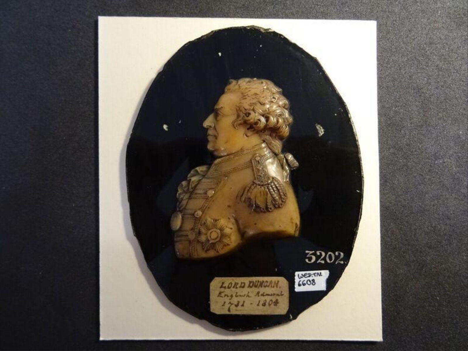 Wax model