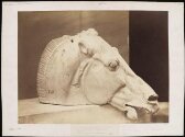 Head of one of the horses of the car of Silene thumbnail 2