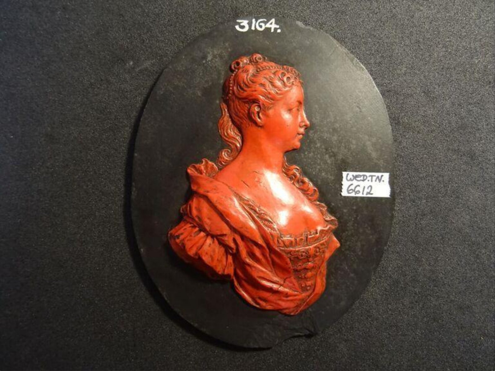 Wax model