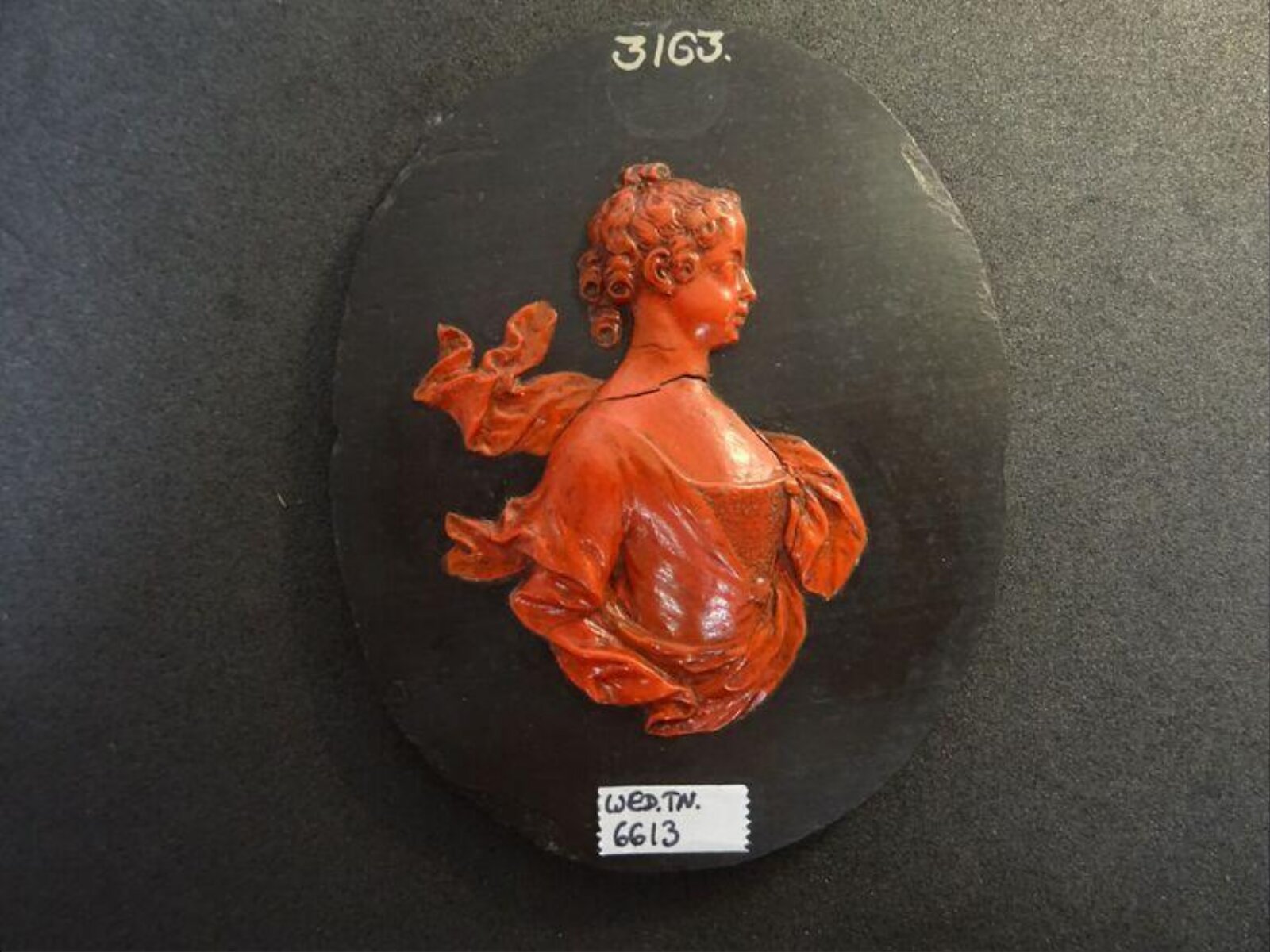 Wax model