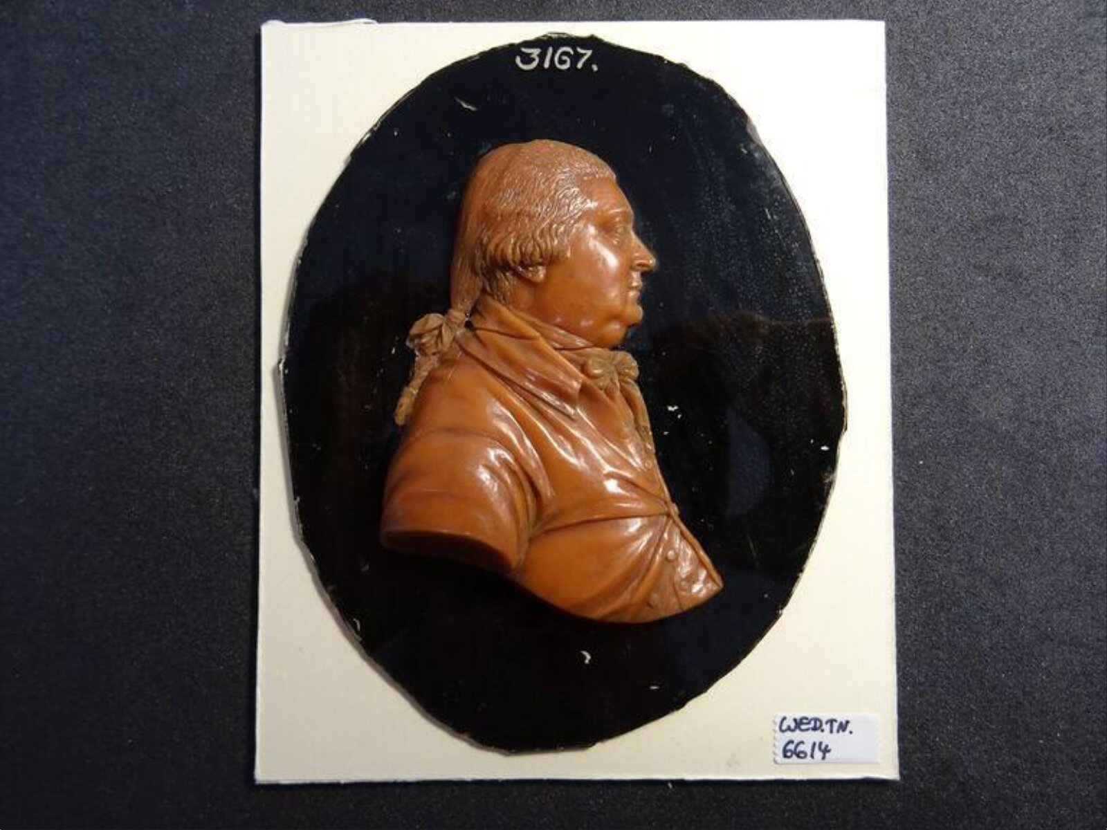 Wax model