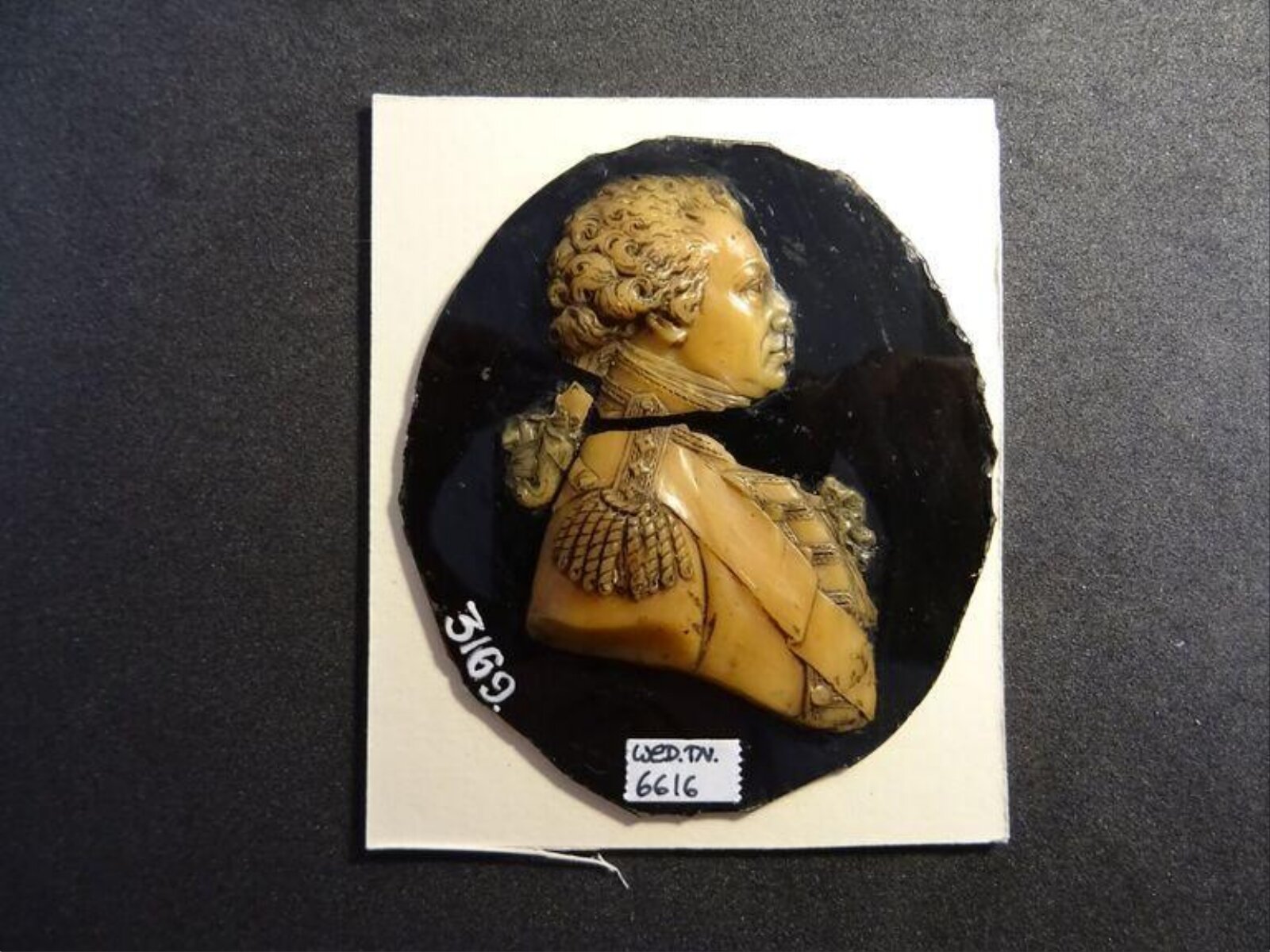 Wax model