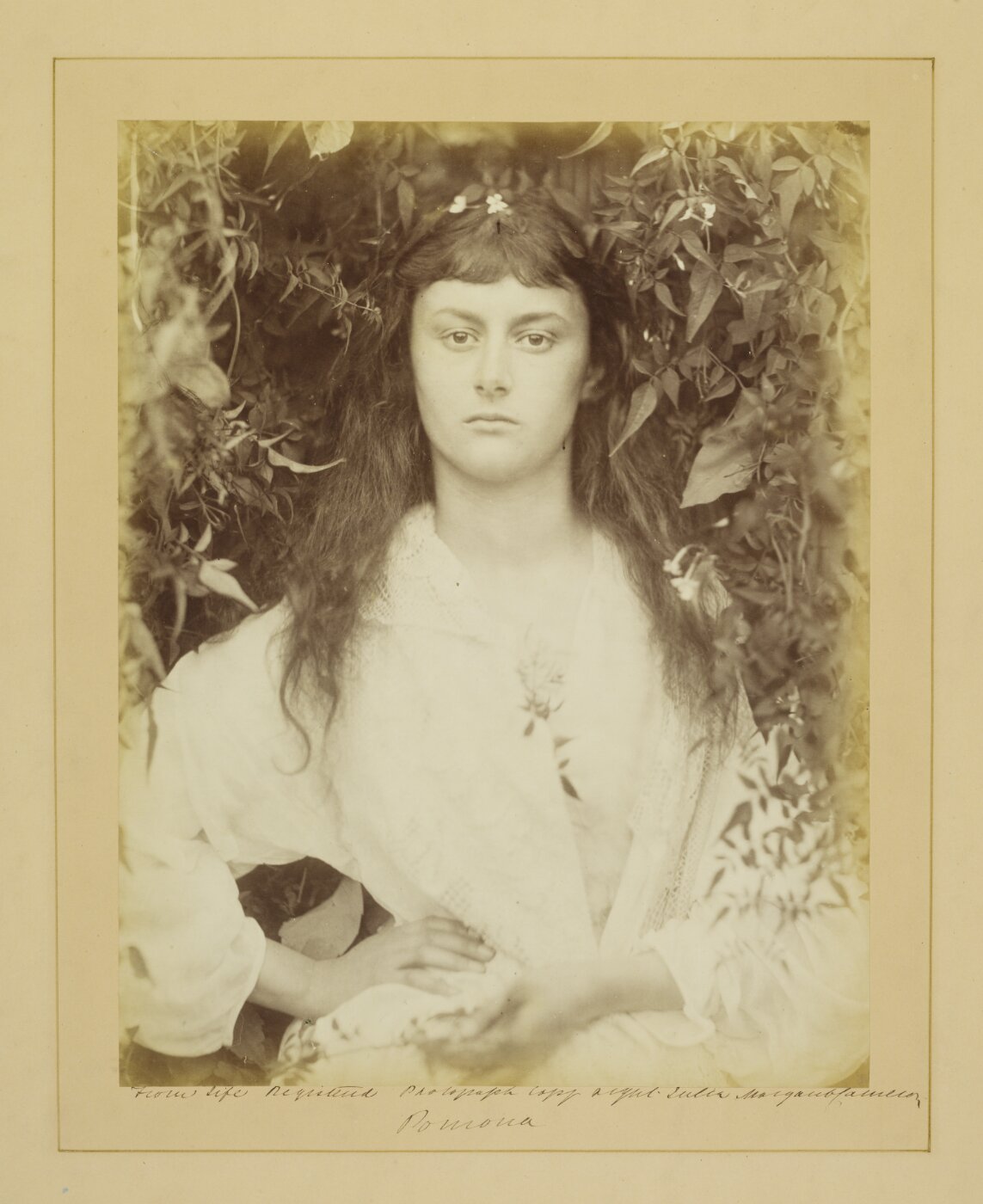 Cameron, Julia Margaret, Pomona