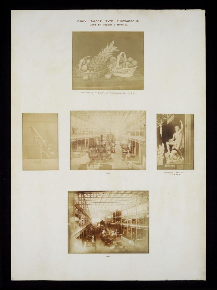 Early Talbot Type Photographs top image