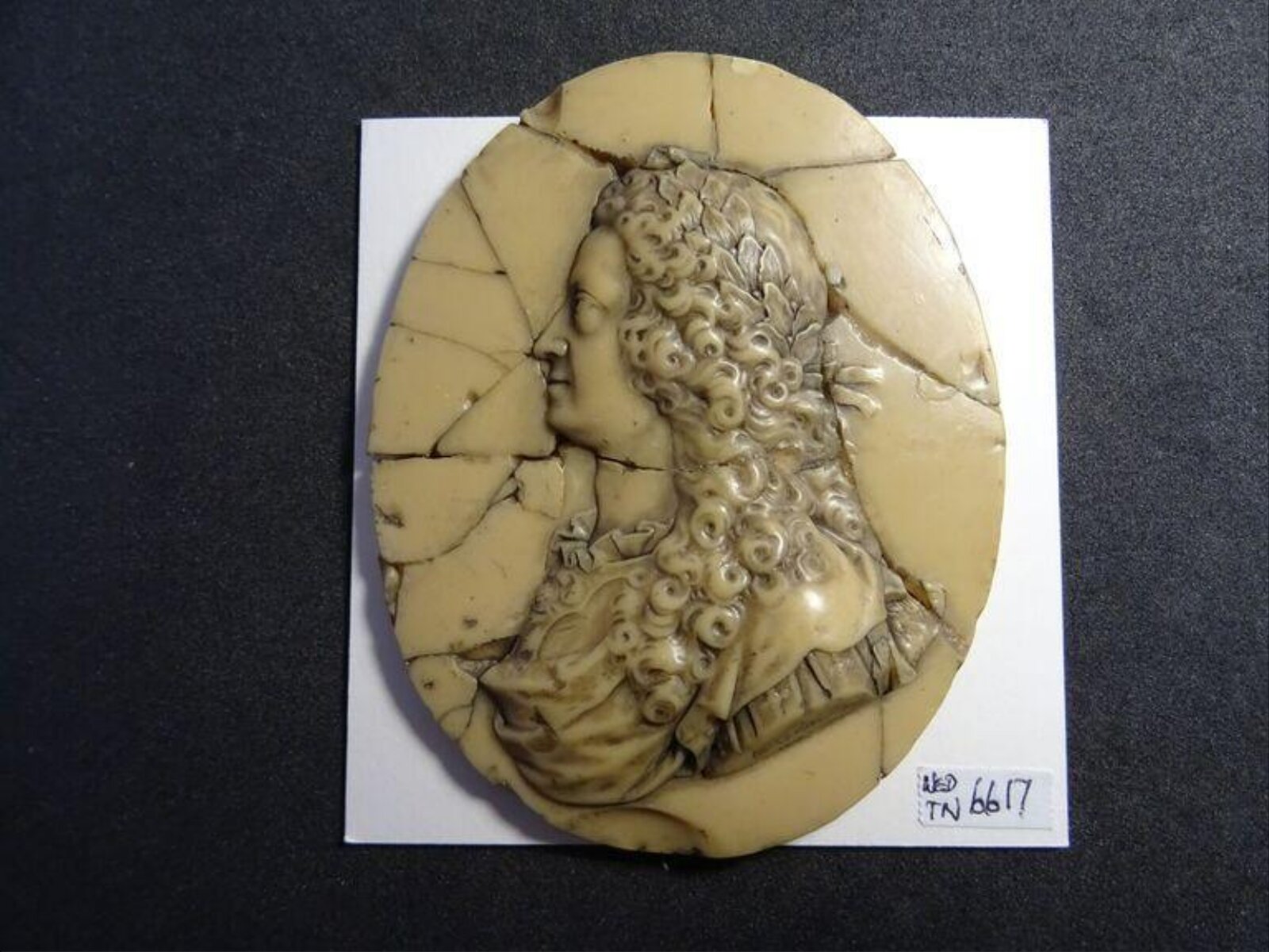 Wax model