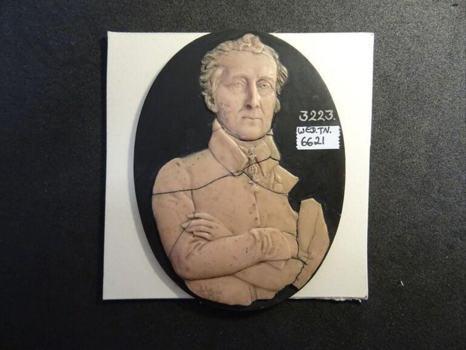 Wax model, 1844