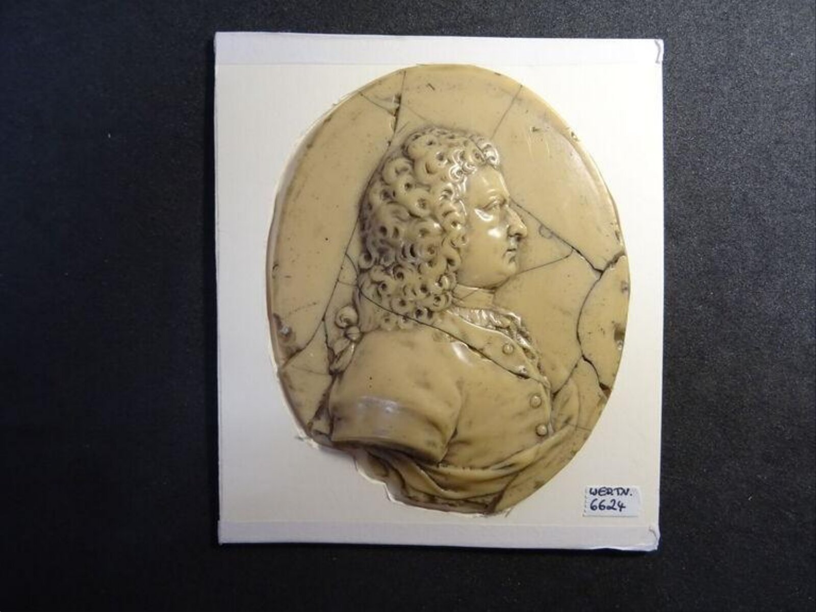 Wax model