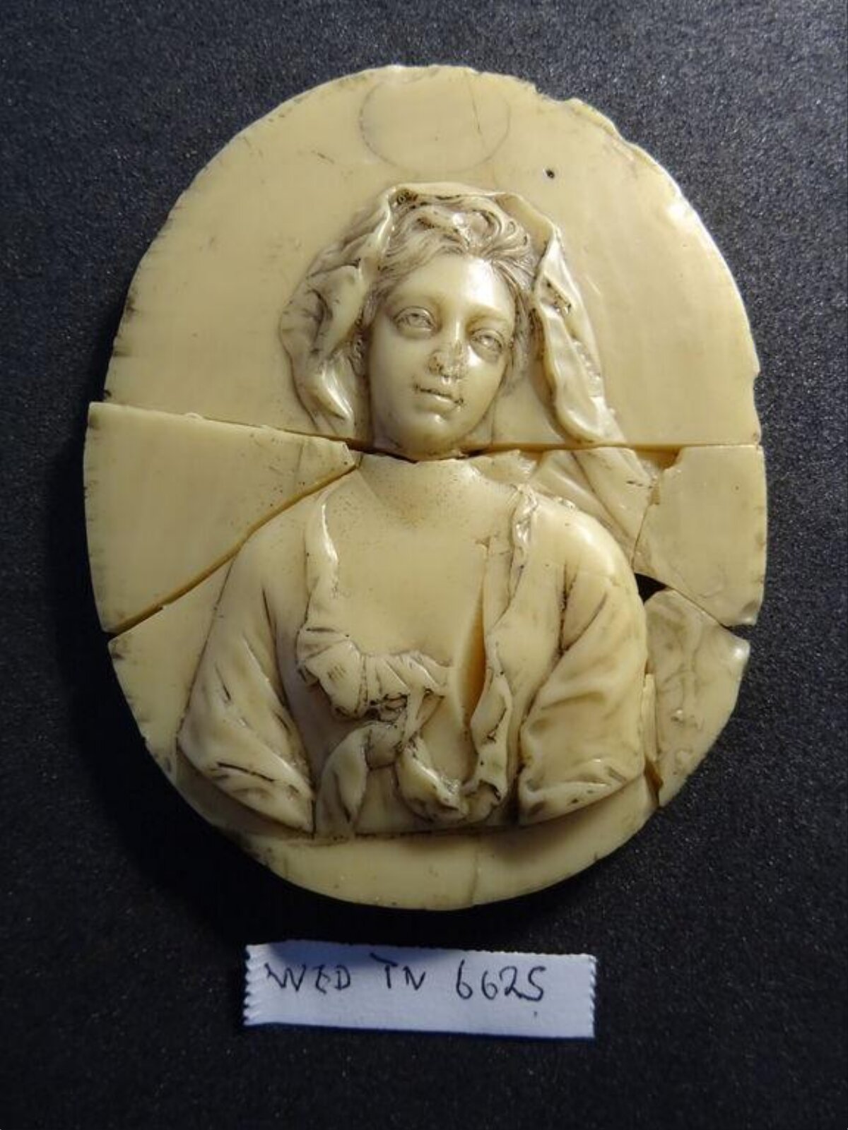 Wax model