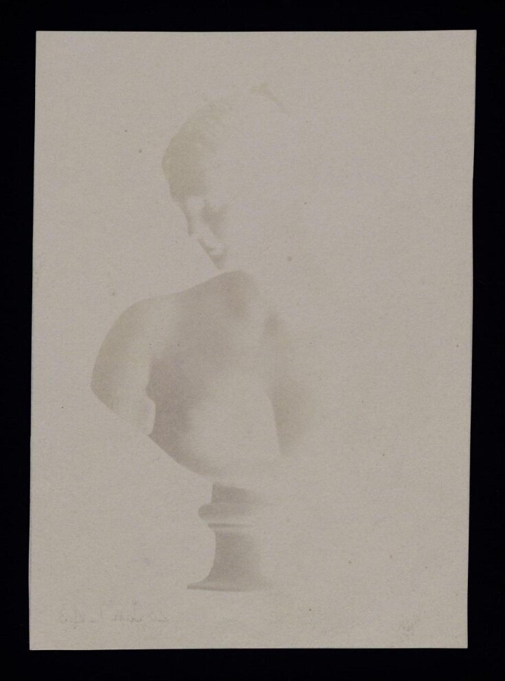 Bust of Venus top image