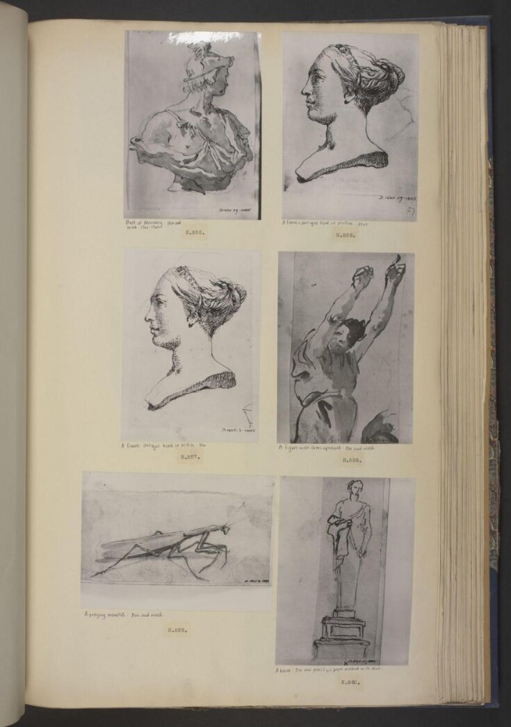 A praying mantis (recto) and Scribbles (verso)