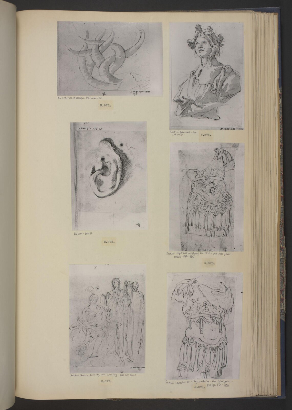 An ear, Giovanni Battista Tiepolo, 18th century