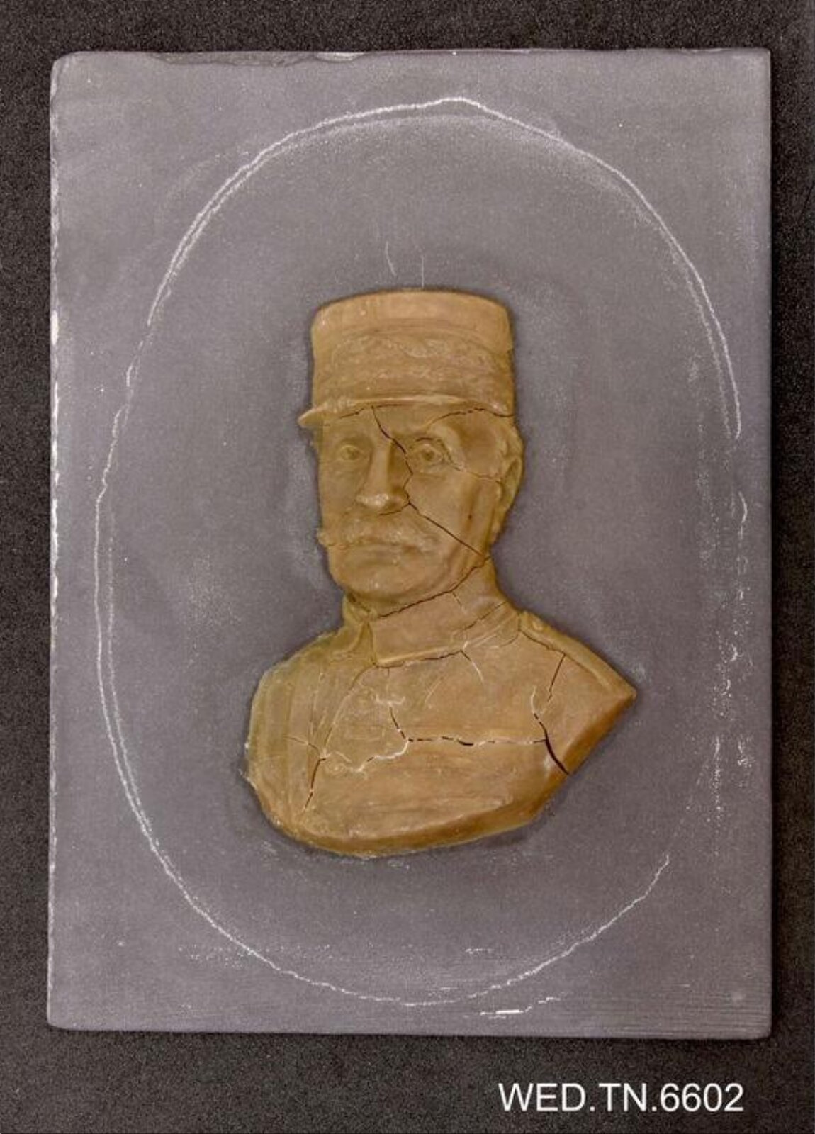 Wax model