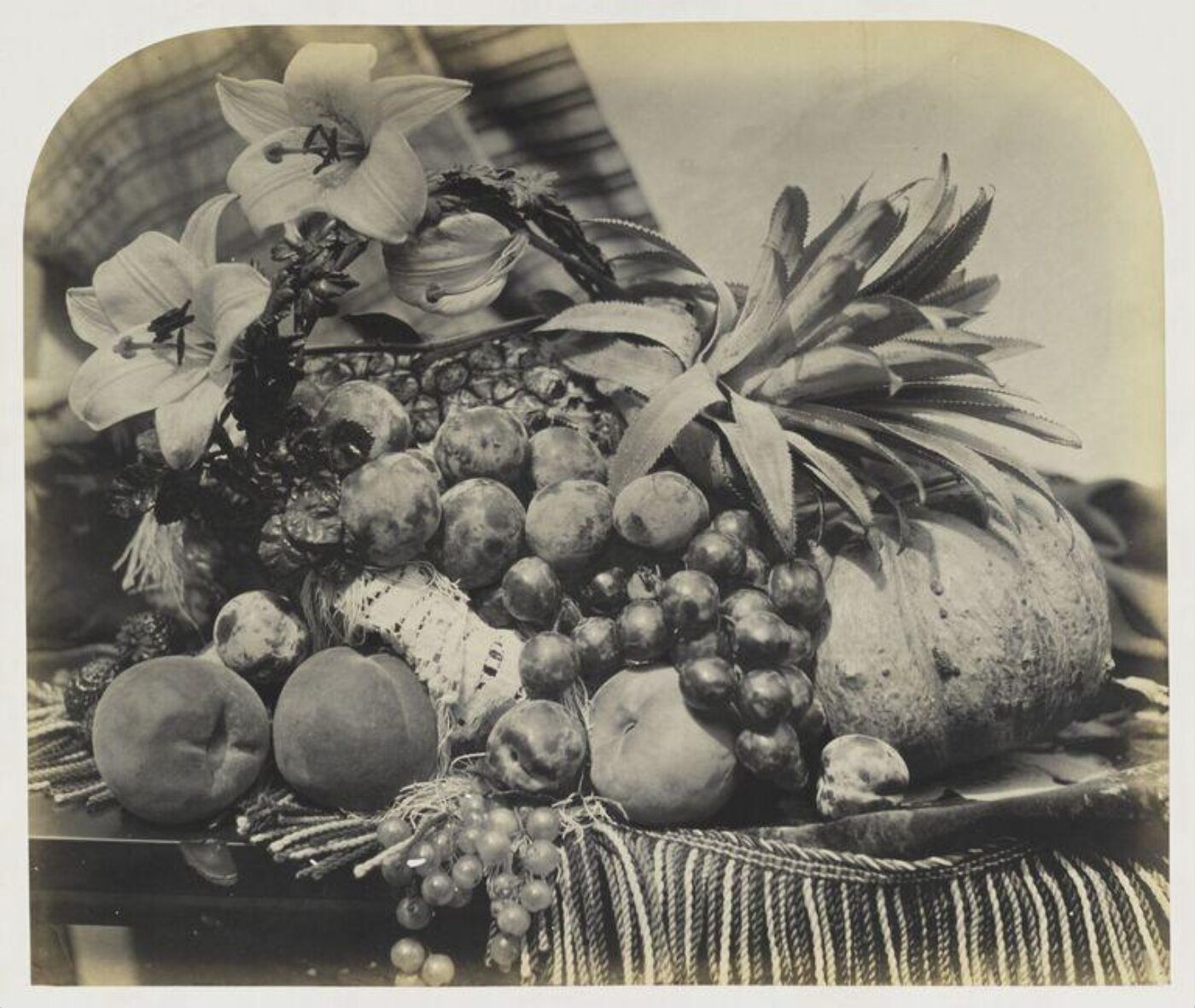 Fenton, Roger, Still life with fruits and flowers
