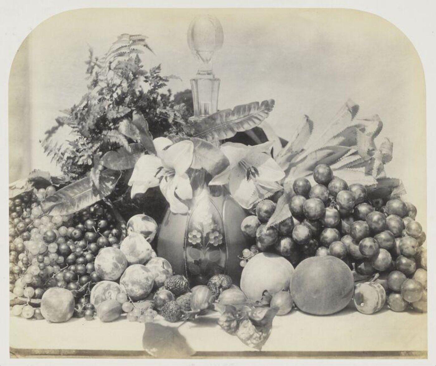 Fenton, Roger, Decanter and fruit