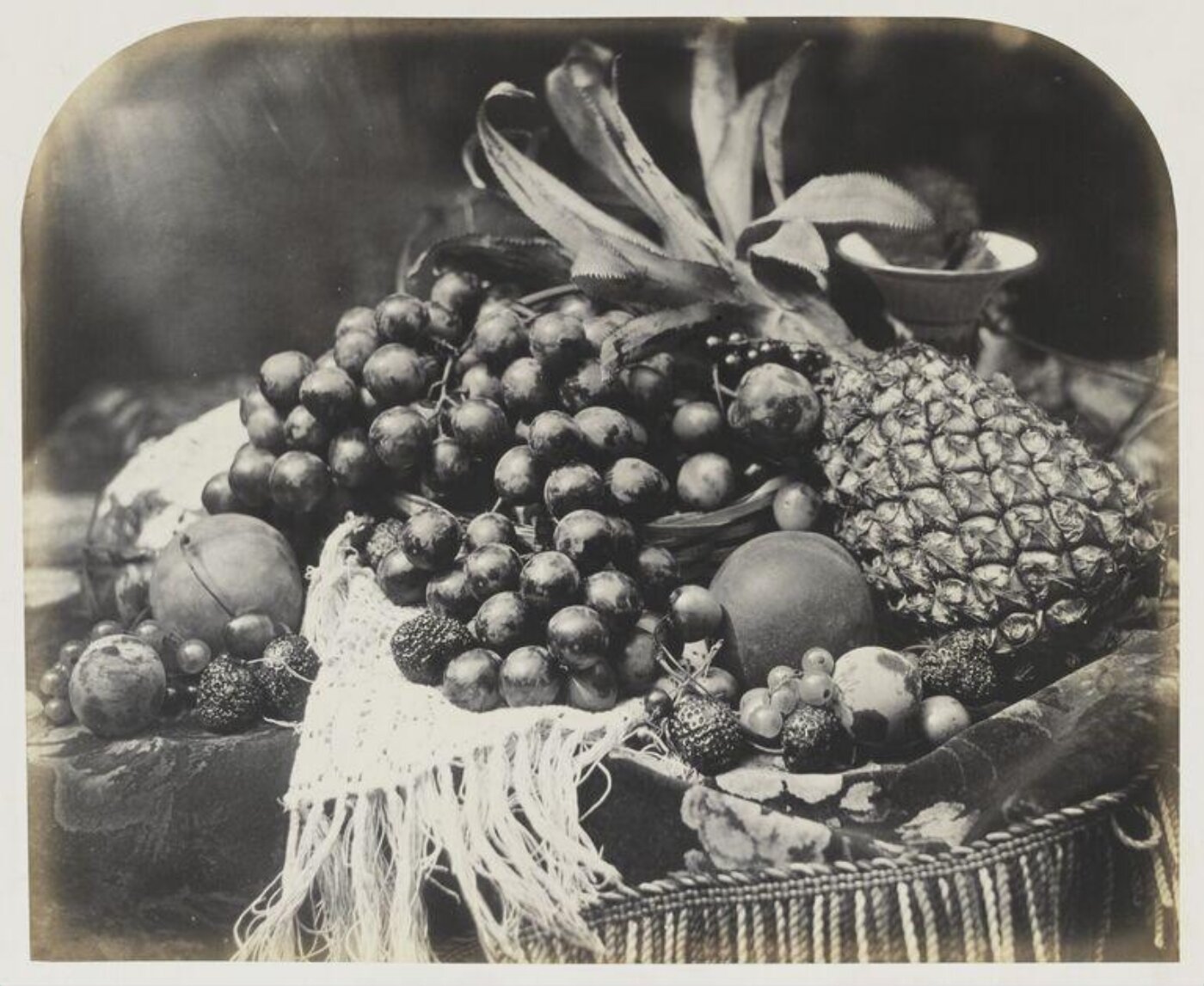 Fenton, Roger, Fruit
