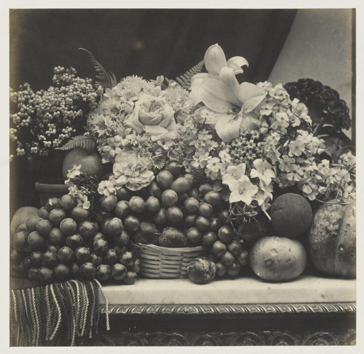 Flowers and fruit | Fenton, Roger | V&A Explore The Collections