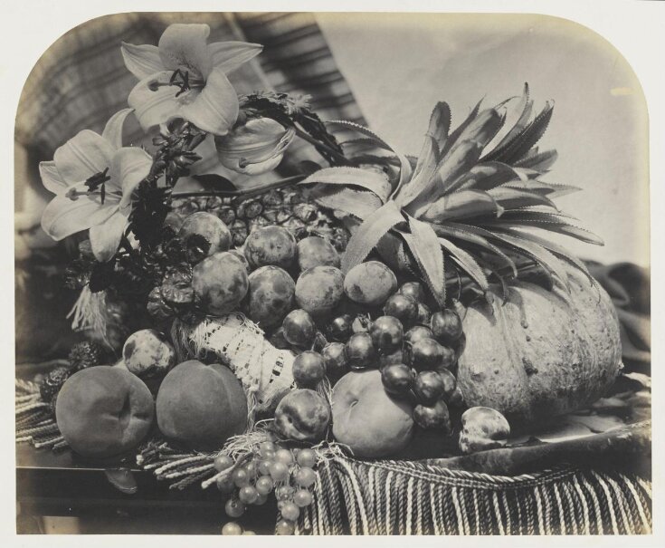 Fruit and flowers top image