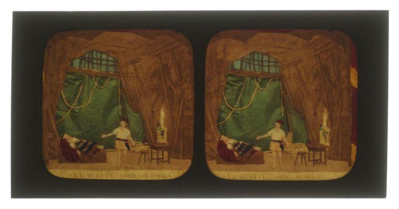 Unknown, Tissue Stereograph