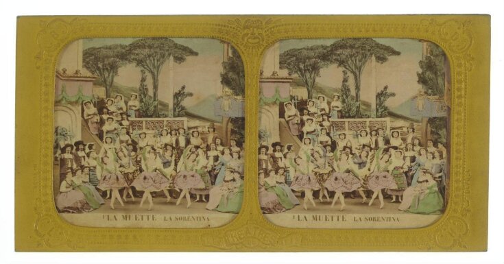 Tissue stereograph top image