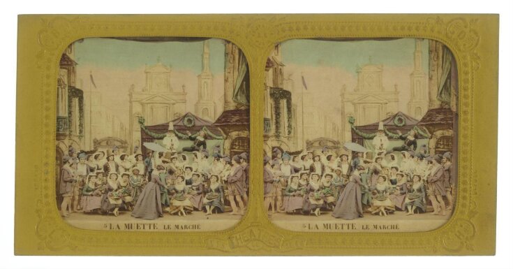 Tissue Stereograph top image