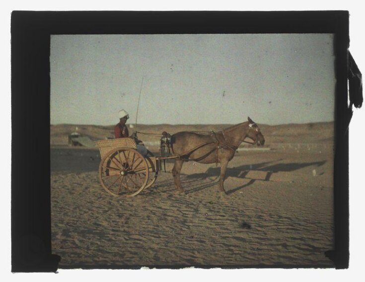 Man with horse and cart top image