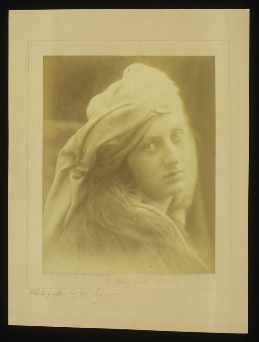 Cameron, Julia Margaret, A Study of the Cenci