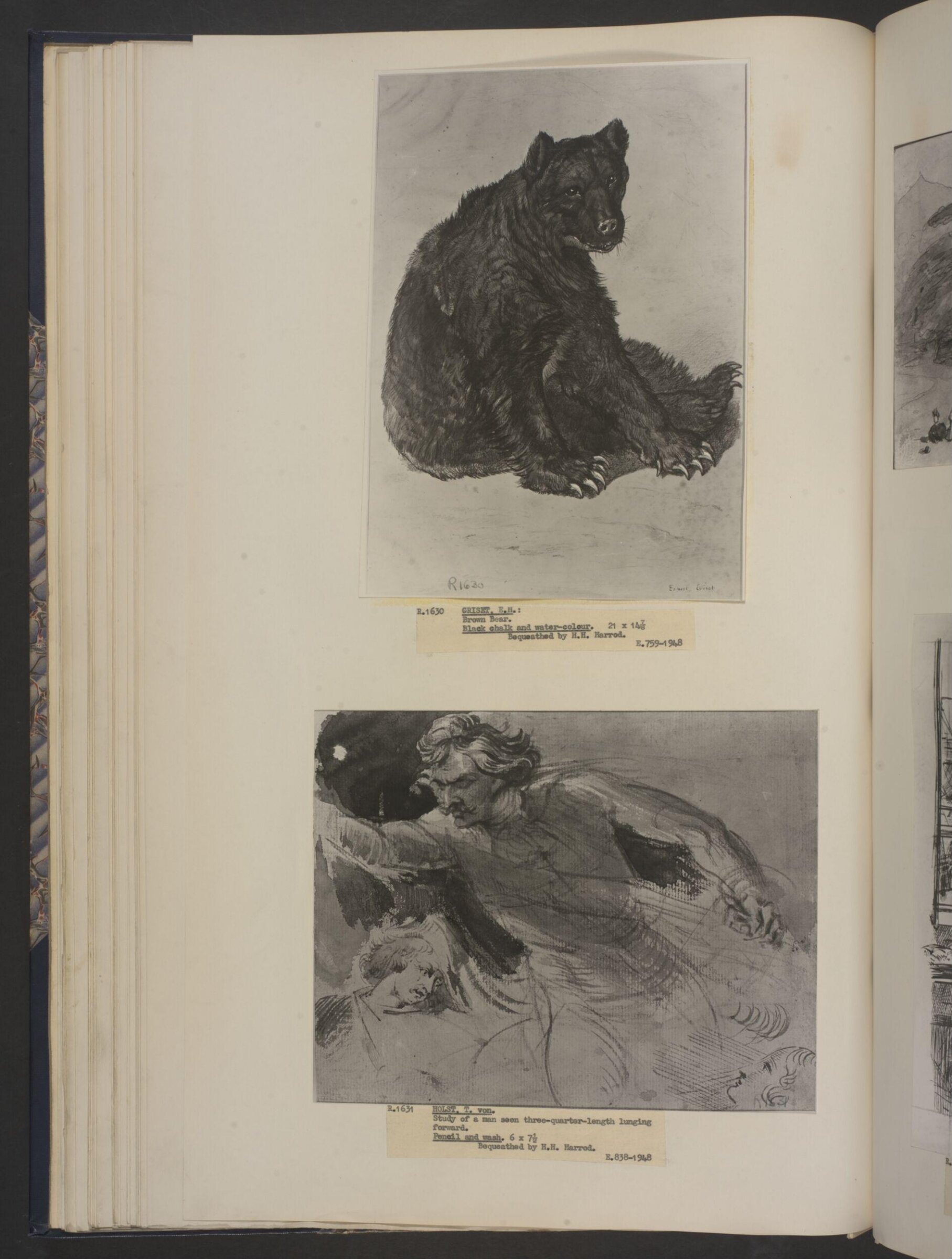 Brown Bear, Ernest Griset, second half of the 19th century to 1907
