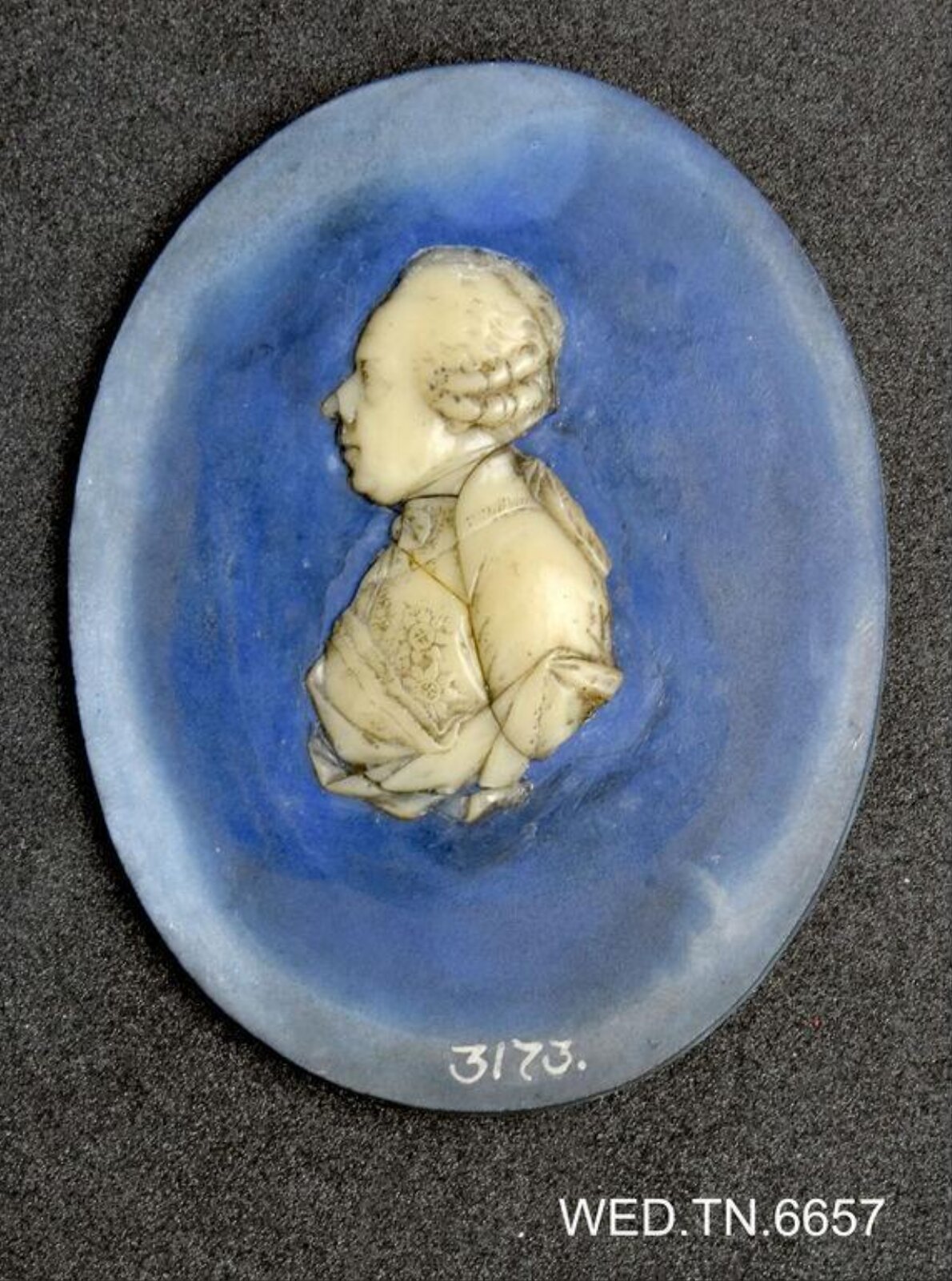 Wax model
