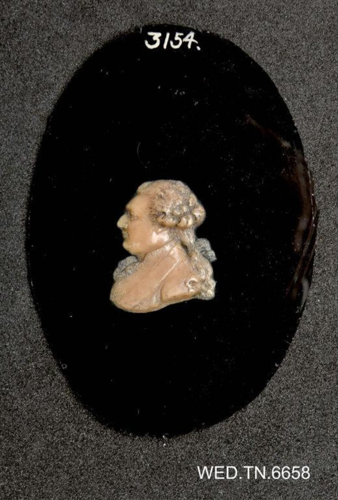 Wax model