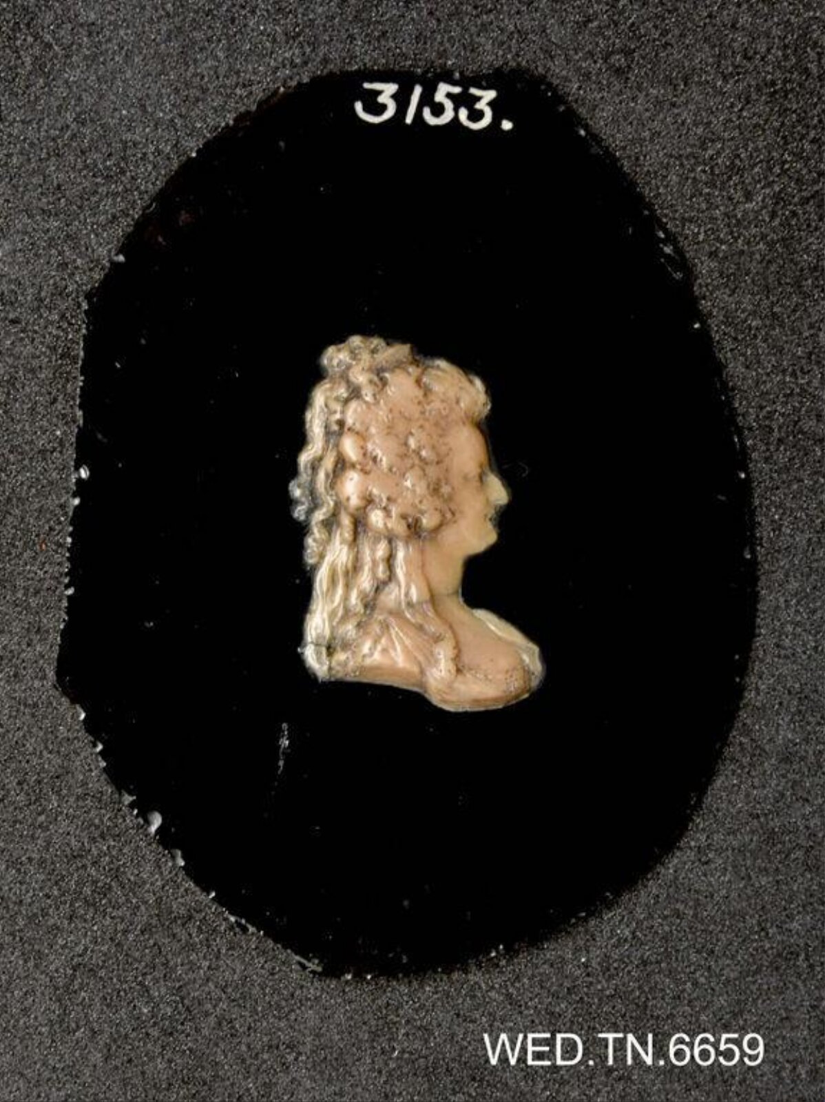 Wax model