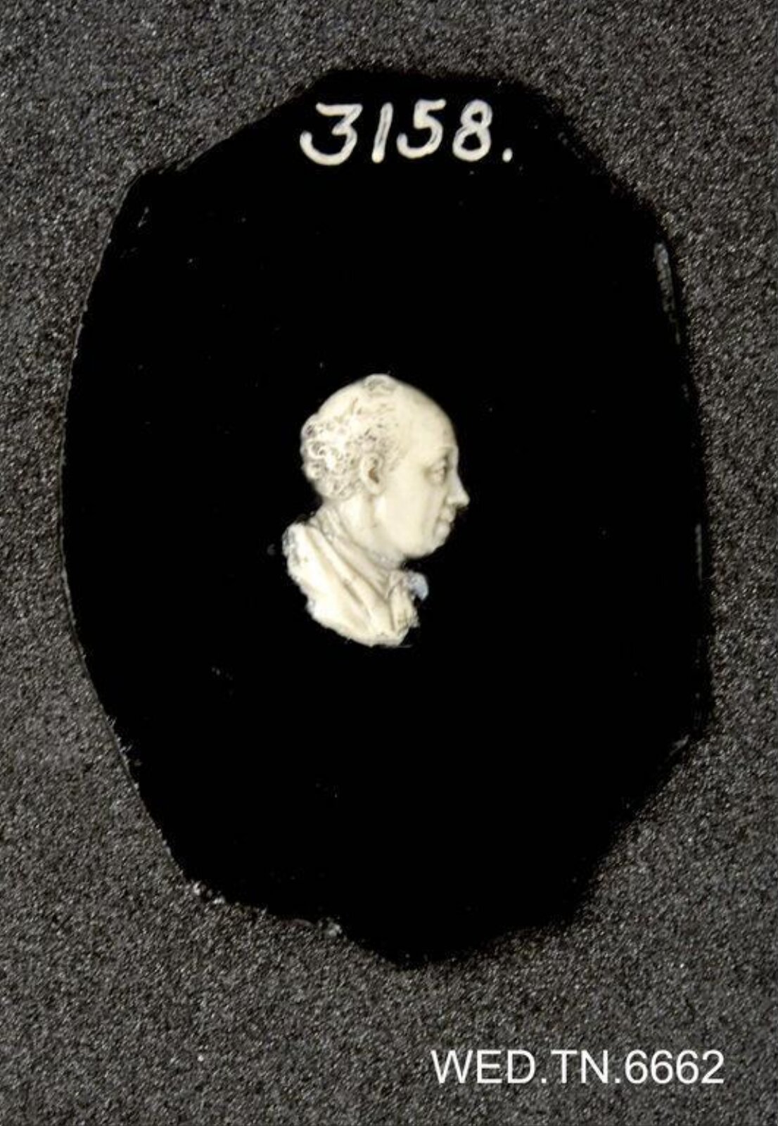 Wax model